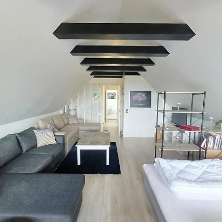 Appartamento Grand Lux House With Private Parking Hjørring