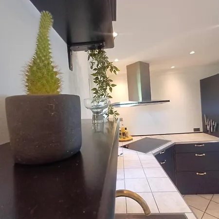 Grand Lux House With Private Parking Appartamento